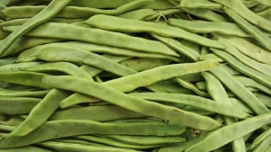 istanbulda-subatta-fiyati-en-cok-artan-urun-taze-fasulye-oldu-HE9MNG9f.jpg