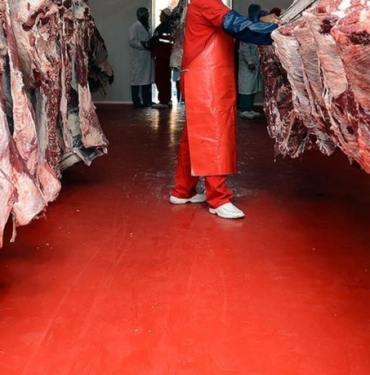 maliye-kirmizi-et-sektorunu-kayit-disilik-takibine-aldi-xmEzPLhP.jpg