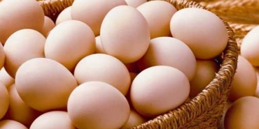 yumurta-ihracatina-fon-kesintisi-bxj1WM6s.jpg