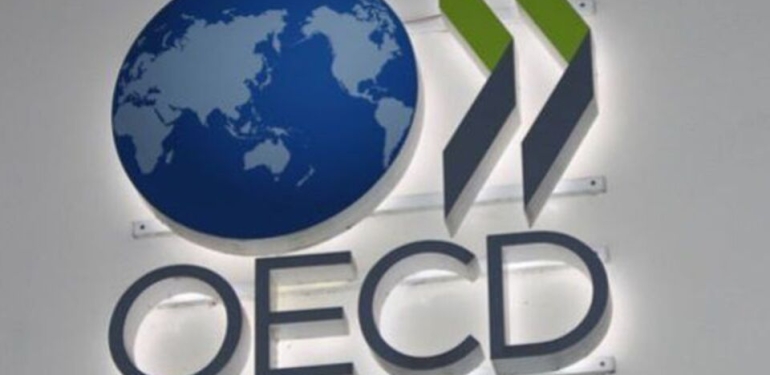 oecd-turkiye-ve-kuresel-buyume-tahminini-dusurdu-Qt8Rf3le.jpg