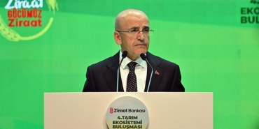 simsek-dezenflasyon-son-bir-yildir-kesintisiz-devam-ediyor-udVM1ZM9.jpg
