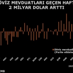 doviz-mevduatlarinda-2-ayin-en-yuksek-artisi-X1ktDEsv.jpg