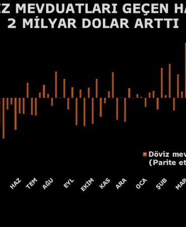 doviz-mevduatlarinda-2-ayin-en-yuksek-artisi-X1ktDEsv.jpg